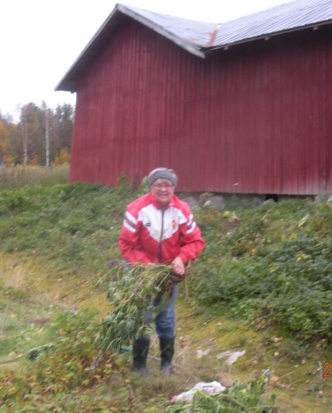 Asta Johansson gör årligen nyutsprickande konst genom att plantera perenner