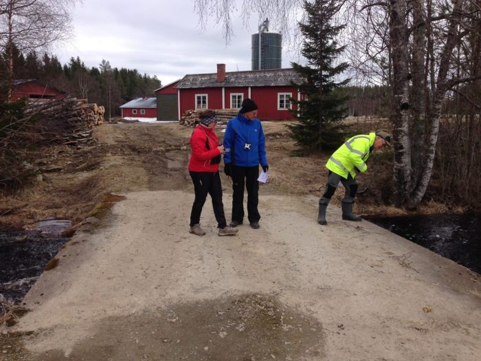 Gunilla H, Torsten och Sven-Olov P tittar visst efter Strömstaren