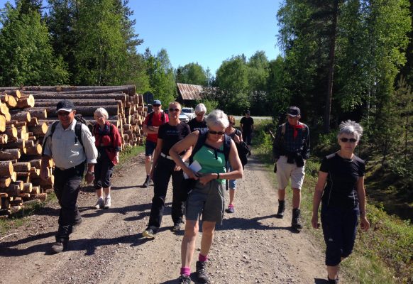 Turistföreningen Skellefteå