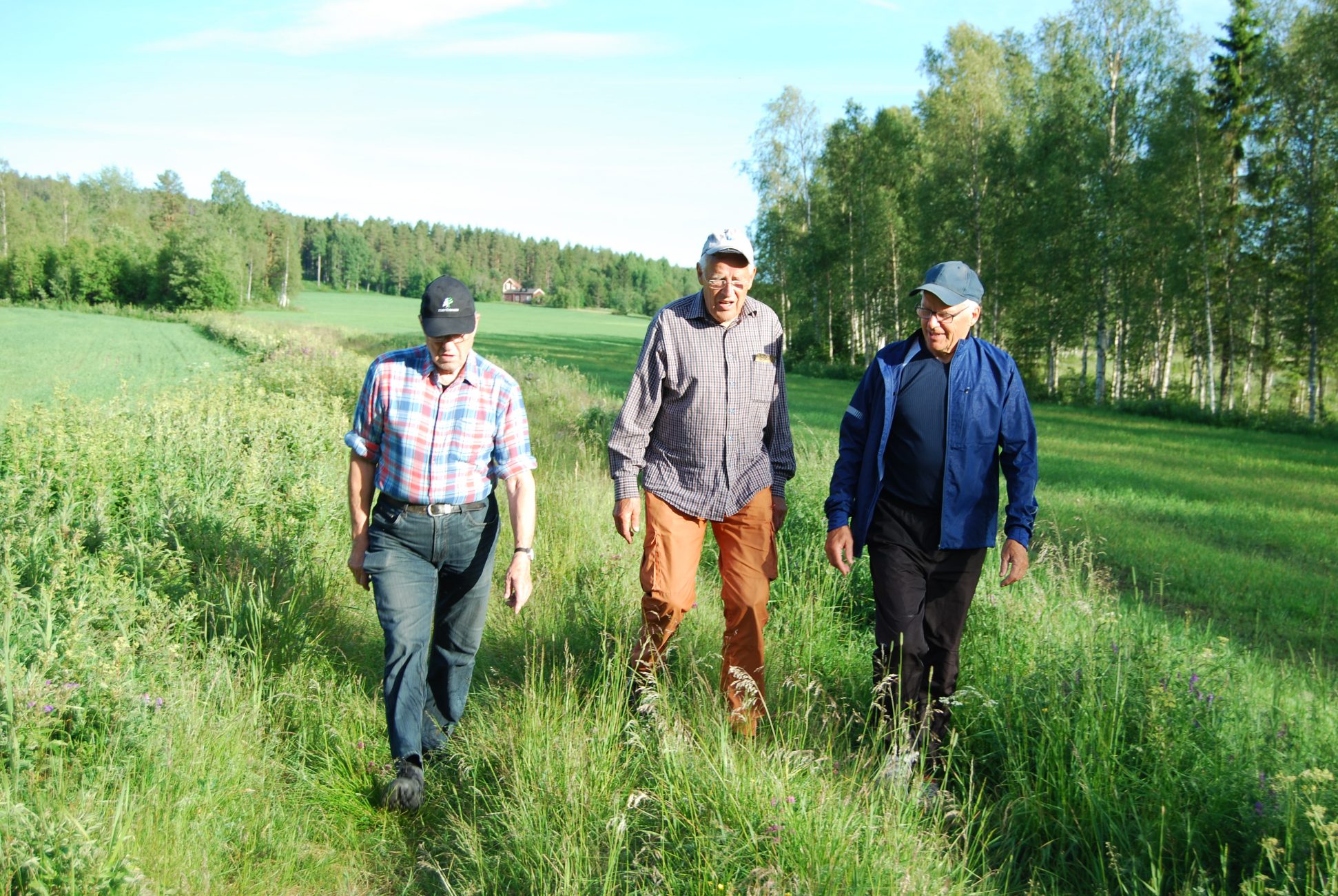 Kjell A, JEP & Torsten P på vandring runt Hökmarksträsket